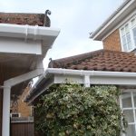 domestic guttering maintenance