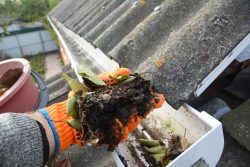 gutter cleaning