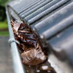 Gutter Maintenance