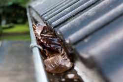 Gutter Maintenance