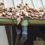 leaves in gutter