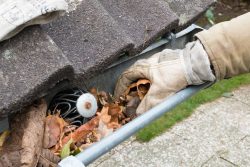 man taking leaves out of gutter