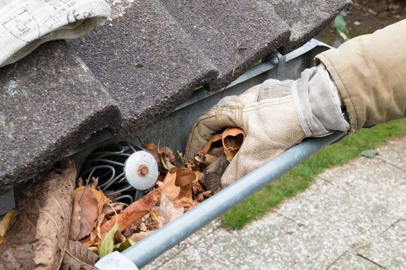 man taking leaves out of gutter