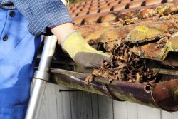 man taking leaves out of gutter