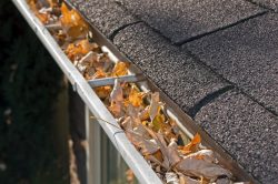 Gutters Full With Leaves