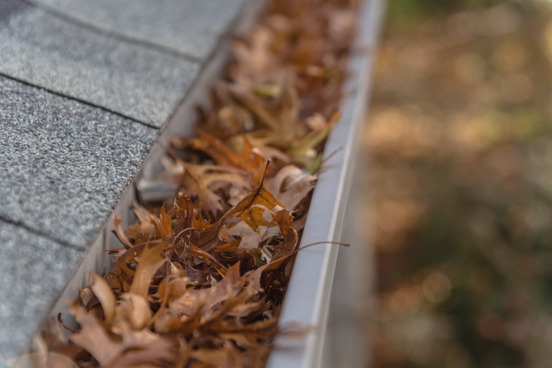 blocked gutter full of autumn leaves 