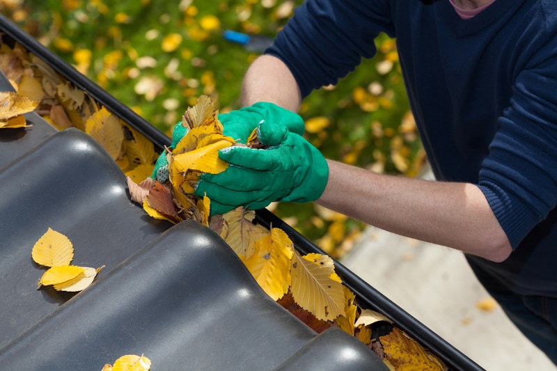 man taking leaves out of gutter