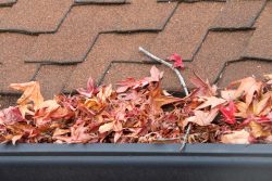 blocked gutter leaves