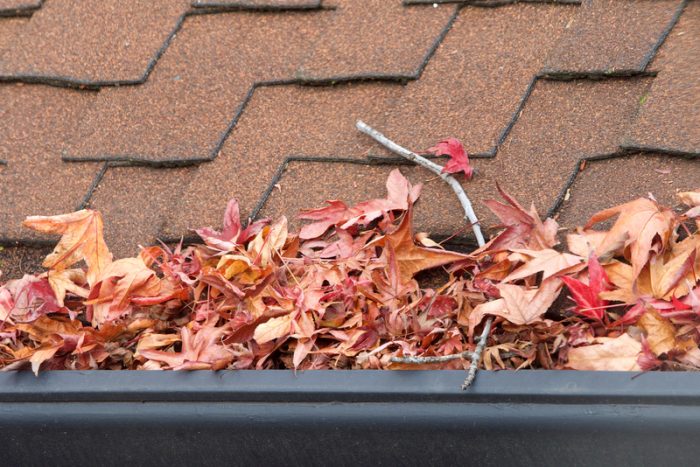 gutters blocked with leaves