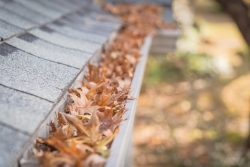 blocked gutters filled with leaves