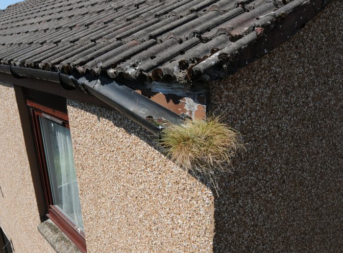 gutter needs replacing 