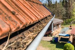 A neglected gutter full of leaves