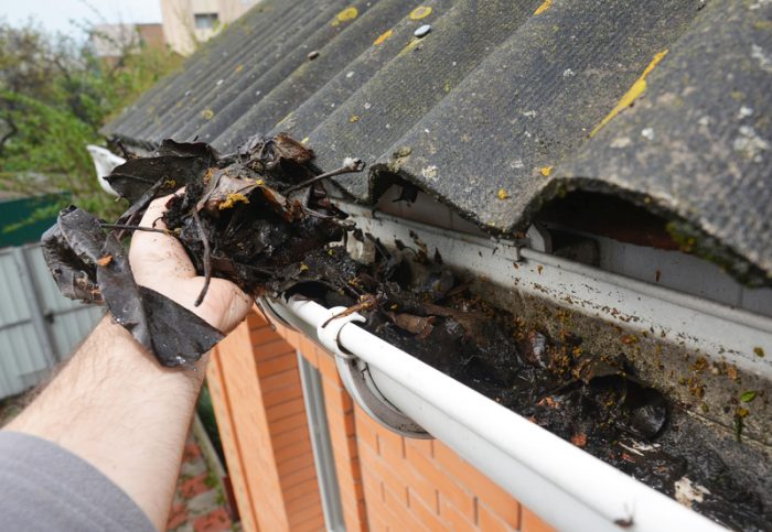 messy gutter clogged gutter