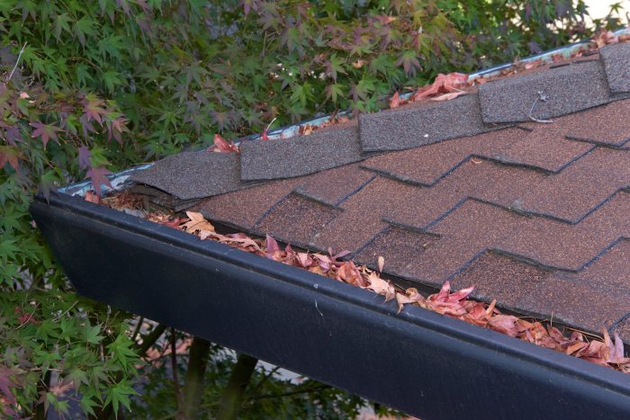 gutter blockage