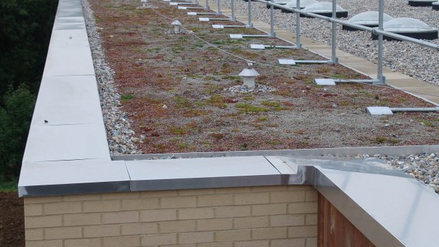 guttering maintenance & repair